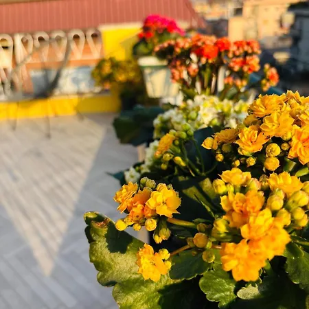 Terrazza Dei Gelsi *