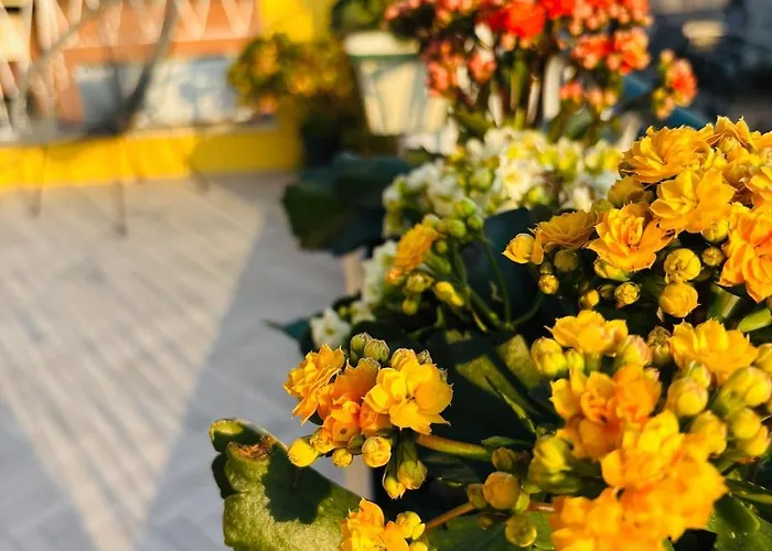 Terrazza Dei Gelsi *