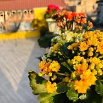 Terrazza Dei Gelsi *